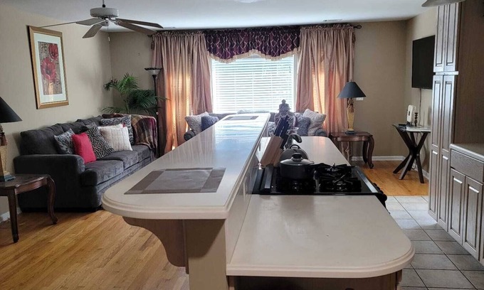 Sandy Springs House | Lake View Mansion