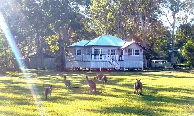 Peregian Beach Cottage | Lake Weyba Noosa Lodge & friendly kangaroos