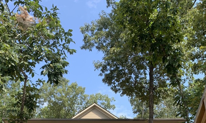 Wedowee House | Lakefront Beauty On Lake Wedowee in Deep Water