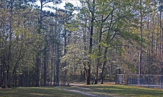 LaGrange Cabin | Lakeside Cabin - Great Fishing & Privacy at its Best!
