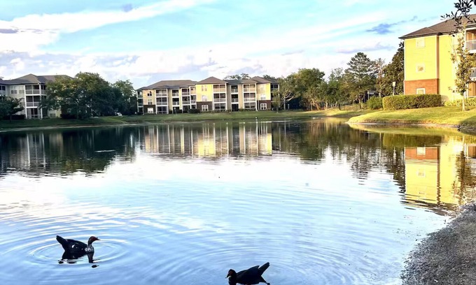 Carrollwood Condo | Lakeview Apt Close to Beaches, Airport, Downtown!