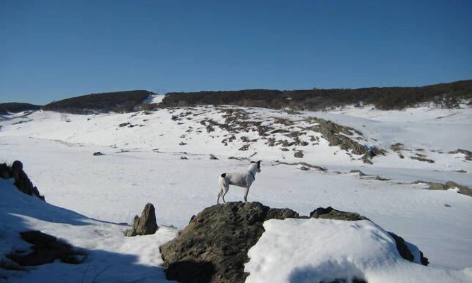 Talbingo House | Lampe House - A cosy, pet friendly cottage at Talbingo, Snowy Mountains NSW