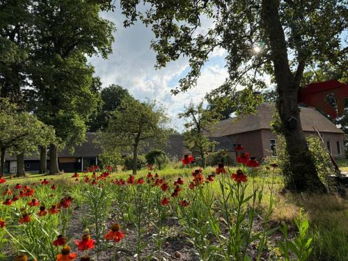 Balkbrug House | Landgoed Getafix