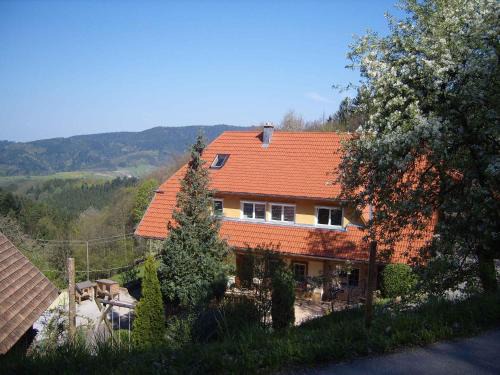 Oberharmersbach Apartment | Langenberghof
