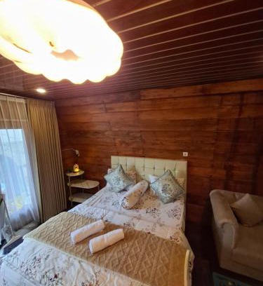 Dieng Villa | Langit dieng cabin