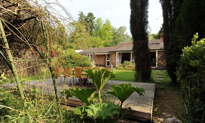 New Forest District Cottage | Large cottage Amazing location! Family group or friends up to 24 people!