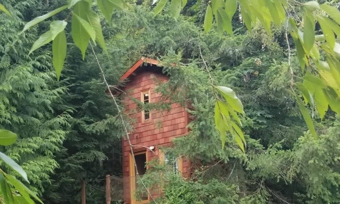 Snohomish House | Large Estate Venue 2 hot tubs 2 treehouses