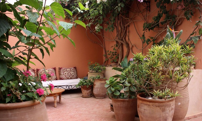 Mirleft House | Large house and beautiful garden in the centre of Mirleft