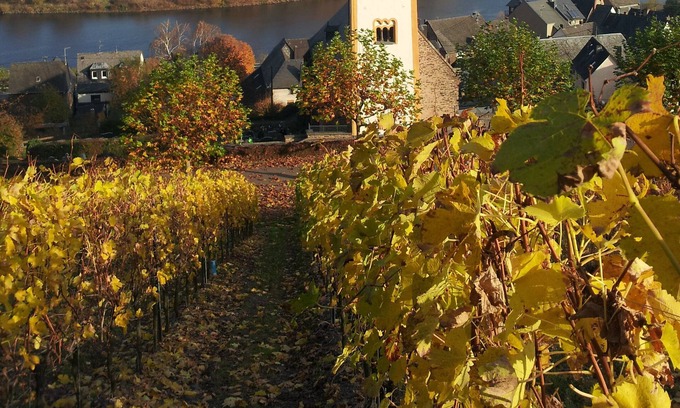 Tellig House | Large, luxurious holiday home with views Größzügigem (10/12 pers.)