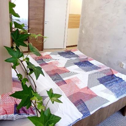 Cluj-Napoca Apartment | Larisa Apartment