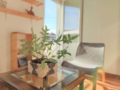 Monte Apartment | Las Casucas 2D