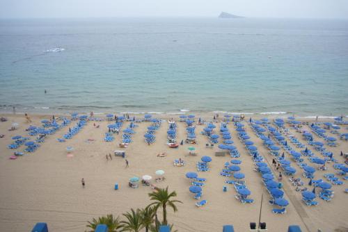 Benidorm Centro Apartment | Las Palmeras III- Fincas Arena