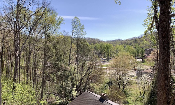 Gatlinburg Hotel | Laurel Inn Condominium