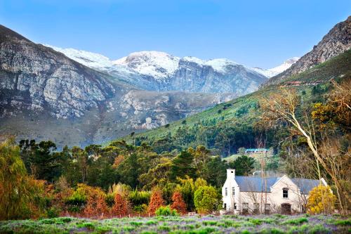 Franschhoek House | Lavender Farm Boutique Guest House