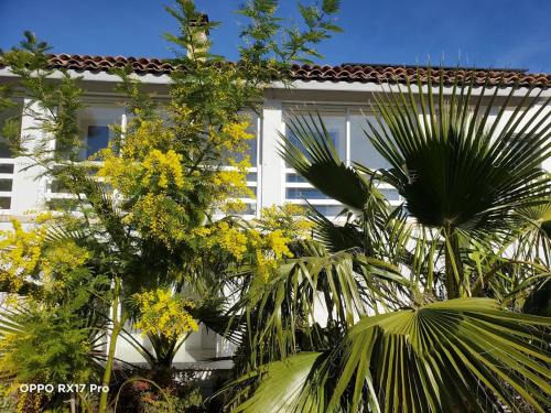Le Grau-dʼAgde Bed & Breakfast | Lavocette maison appartement