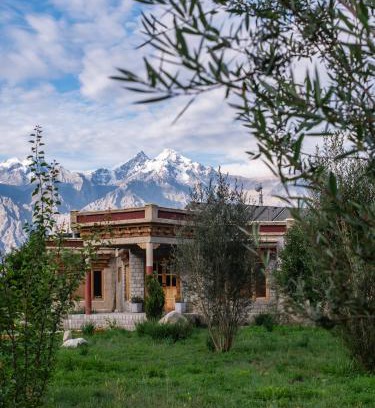 Nubra Valley Resort | Lchang Nang Retreat-THE HOUSE OF TREES-Nubra Valley