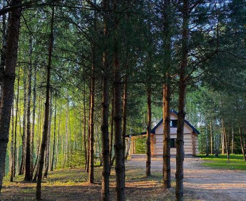 gmina Rutka-Tartak House | Leśne Klimaty