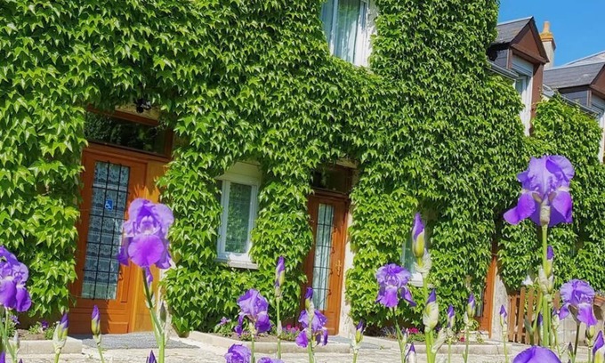 Beaugency Hotel | Le Beaugency
