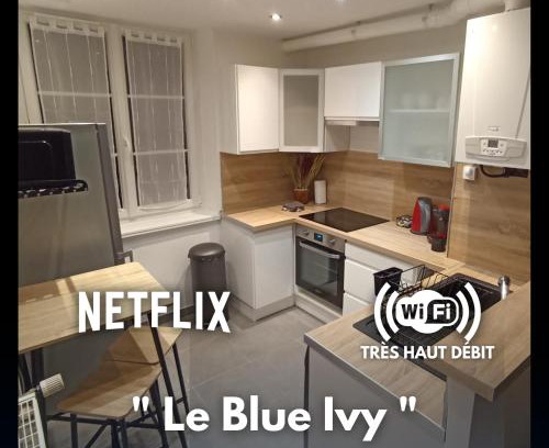 Le Creusot Apartment | Le Blue IVY Hyper centre 2 chambres Tout équipe