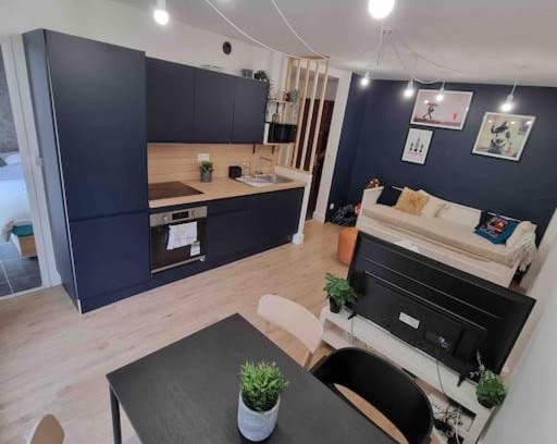 Grenoble City Centre Apartment | Le Bon Quai