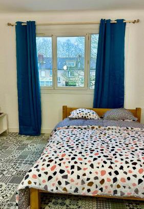 Vieux Malakoff Apartment | LE BORD DE LA LOIRE - chambre avec salle de bains commune