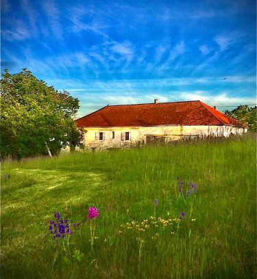 Cazes-Mondenard Bed & Breakfast | Le Bouyssou