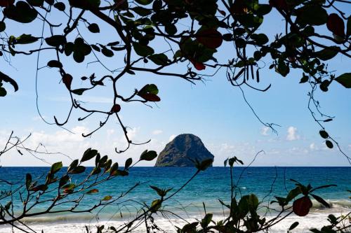 Le Diamant Apartment | Le Bungalow la Rose Bleue