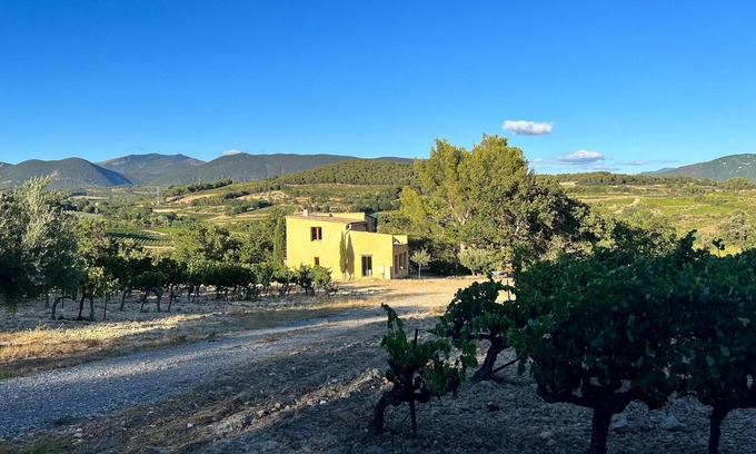Vinsobres House | Le Cabanon des Vignes, an exceptional site amidst the vines