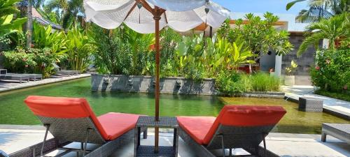 Lovina Hotel | Le Chien Rouge