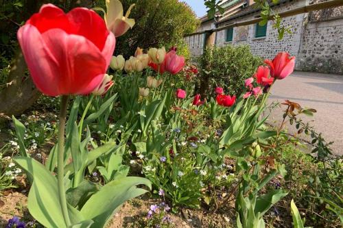 Giverny Apartment | Le Clos de l'Eglise - Blanche