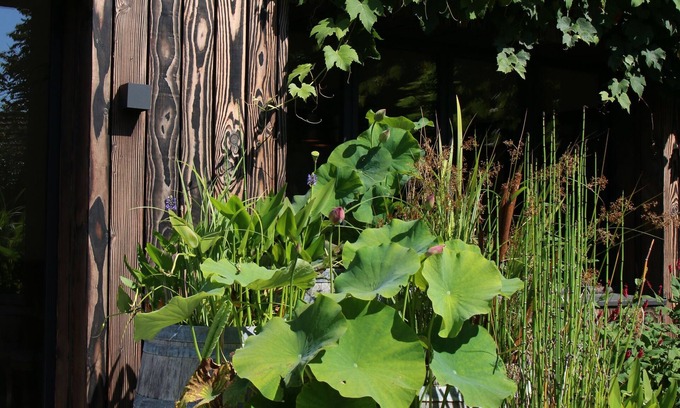 La Ferte-Saint-Aubin House | Le Clos des Poulies