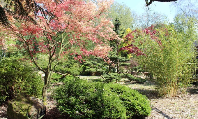 Mauron House | Le Clos Penguily rent 2 houses in a closed wooded park