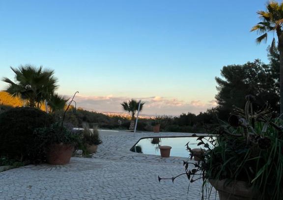 Roquefort-les-Pins House | Le clos sainte Marie