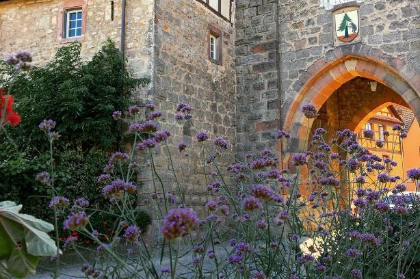 Dambach-la-Ville House | Le Cocon du Potier