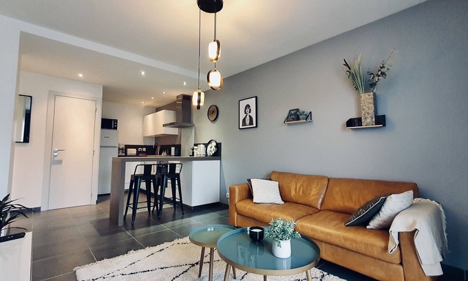 Annecy Old Town Apartment | Le Continental Beau T2 plein centre + parking