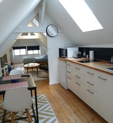 Thabor - Saint-Helier Apartment | Le Coucou Rennais