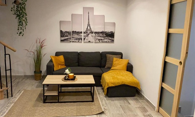 Chalon-sur-Saone Apartment | Le Duplex de Paris