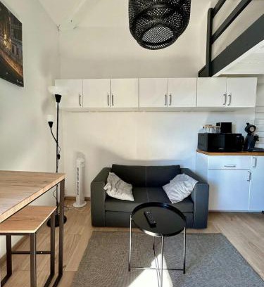 Saint - Michel Apartment | Le Duplex Toulousain - Tram Métro - Centre ville