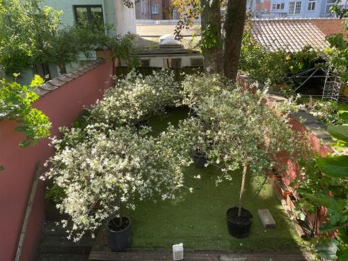 Ixelles Apartment | Le Flagey green place