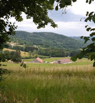 Saulxures-sur-Moselotte Apartment | Le Gîte du Chat Gru