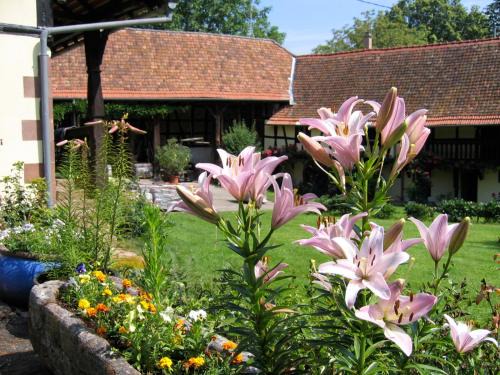 Schalkendorf Apartment | Le gîte des écureuils