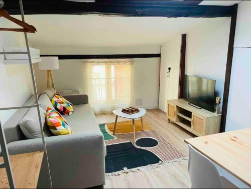 Castres Apartment | Le Grand Studio