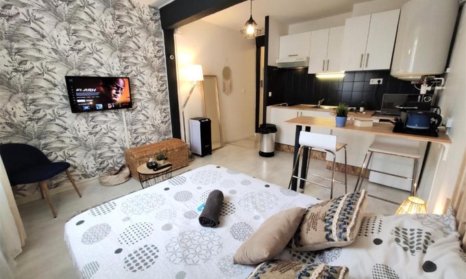 Saint - Michel Apartment | Le Jasmin des Carmes - Hypercentre - Netflix