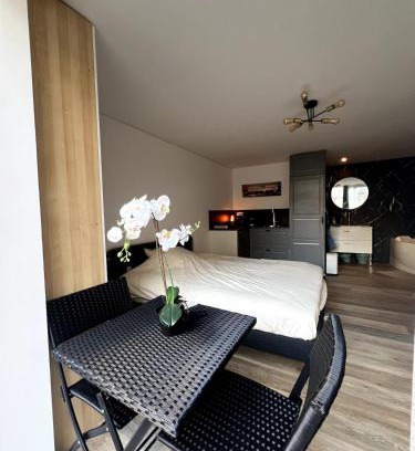 Saint Nicolas - Charles III - Ville vieille - Trois Maisons - Leopold Apartment | Le Local DesTiercelins