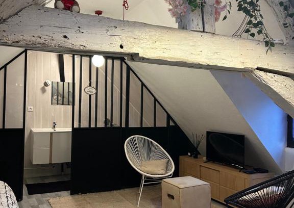 Besancon Old Town Apartment | LE LOFT DU DOUBS