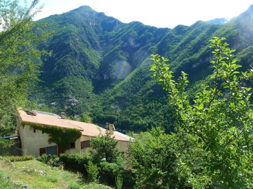 Utelle House | Le Mont d'Olivine