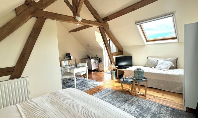 Orbigny Apartment | Le Moulin d'Olivet - 10min from Beauval zoo, in the heart of the Loire castles