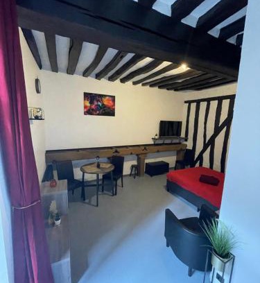 Joigny Apartment | Le Mustang Internet Fibre Netflix