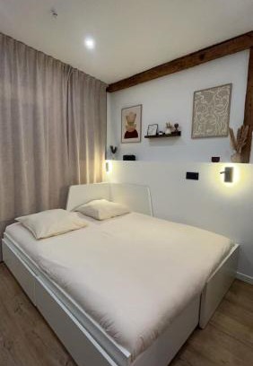 Saint-Etienne Apartment | Le nid des Carmes