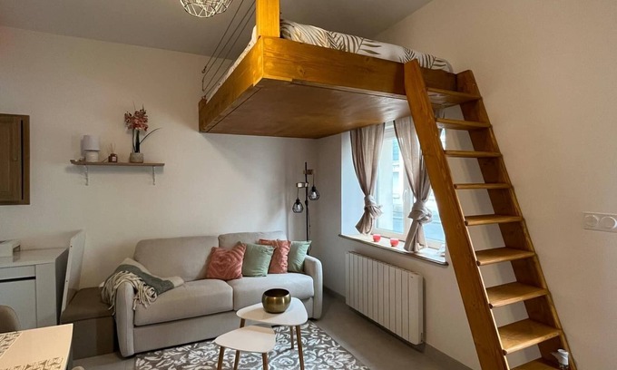 Romorantin-Lanthenay Apartment | Le petit cosy